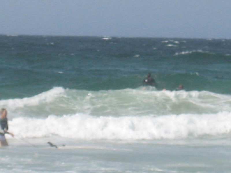 Jims Paddle Out Sept 2008 014